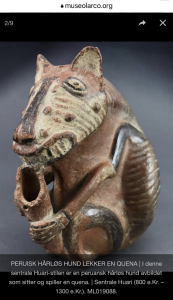 AB9C510E-4CB9-4DDF-AF2D-D83CD8FB8D75_1_105_c Arkeologisk funn påviser Pre-Inka opphav